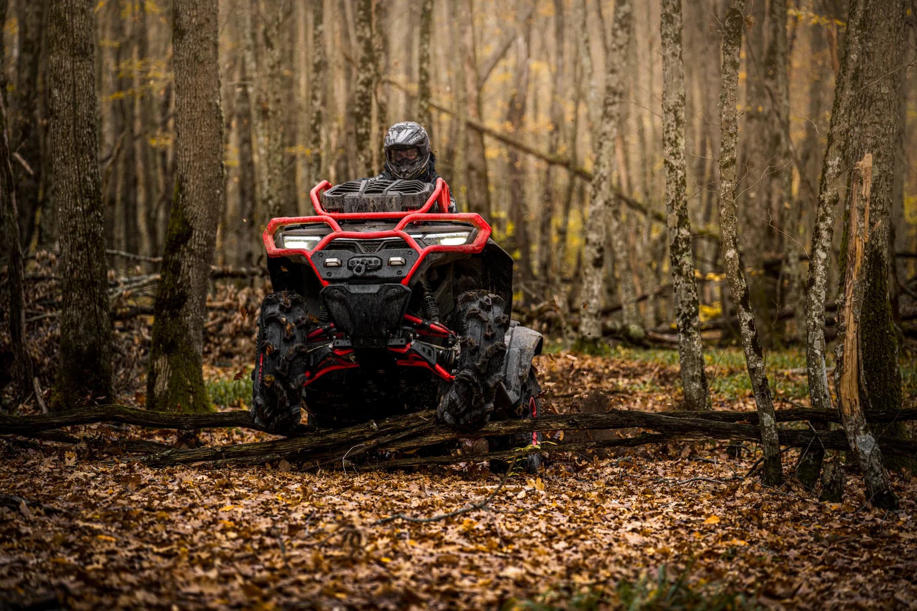CfMoto CFORCE 1000 MV, foto del expositor 9 de 12