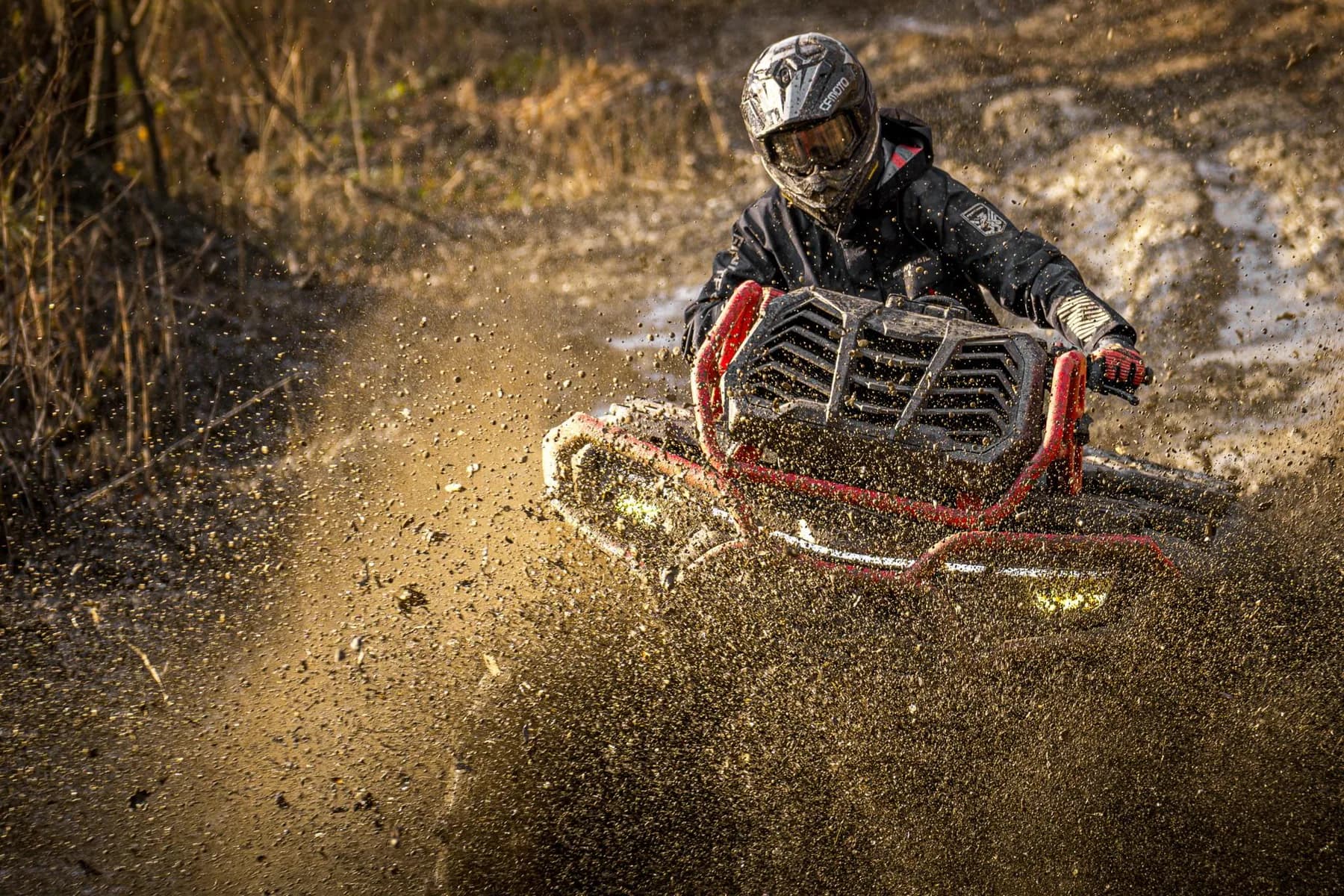 CfMoto CFORCE 1000 MV, foto del expositor 3 de 12